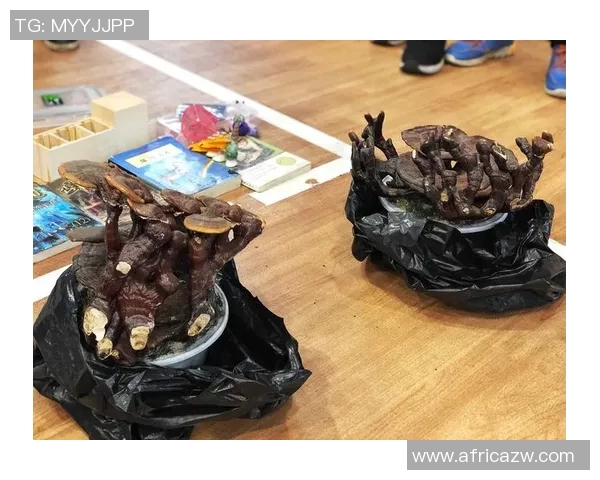 欢庆HappyweiCarry全场盛典尽享无限惊喜与精彩活动等你来参与